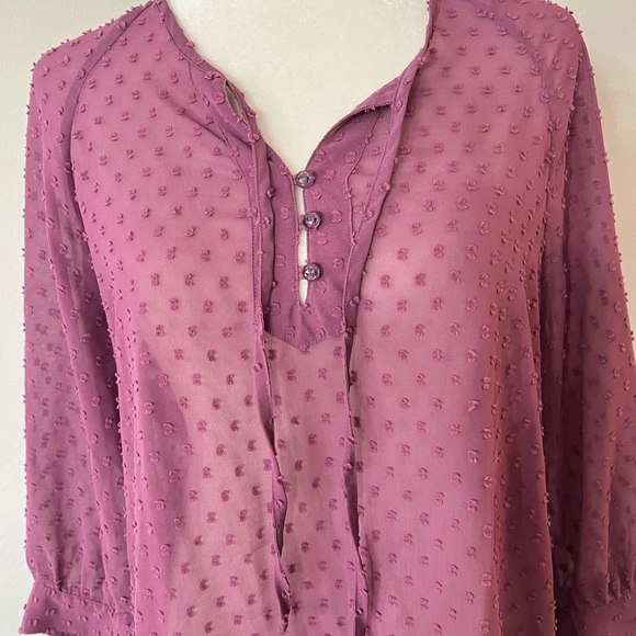 Matilda Jane Ari Swiss Dot‎ Semi Sheer Lightweight Long Sleeve Top Womens Medium - Picture 2 of 7